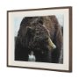 14875 - Grizzly Bear by Chad Mackay a Hand Embellished Textured Framed Photo Art Print Matted under Glass