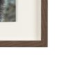 14875 - Grizzly Bear by Chad Mackay a Hand Embellished Textured Framed Photo Art Print Matted under Glass