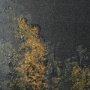 14884 - Water's Reflection-L by Chad Mackay a Hand Embellished Textured Framed Art Print Matted under Glass
