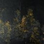 14885 - Water's Reflection-R by Chad Mackay a Hand Embellished Textured Framed Art Print Matted under Glass