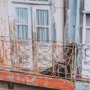 14899 - Porto Houses by Laura Marshall a Framed Photo Art Print Matted under Glass