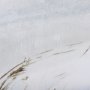 102584-FL - Chilly Breeze I by Mercana Studio a Hand Embellished Textured Framed Canvas