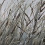 102585-FL - Chilly Breeze I by Mercana Studio a Hand Embellished Textured Framed Canvas