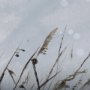 102585-FL - Chilly Breeze I by Mercana Studio a Hand Embellished Textured Framed Canvas