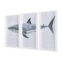 14904 - Great White Shark by Ariana a Triptych Hand Embellished Textured Framed Art Print Matted under Glass