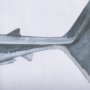 14904 - Great White Shark by Ariana a Triptych Hand Embellished Textured Framed Art Print Matted under Glass