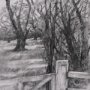 14905 - Countryside Sketches I by Ariana a Hand Embellished Textured Framed Art Print
