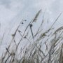 14910 - Chilly Breeze II by Natali a Hand Embelished Textured Framed Art Print Matted under Glass