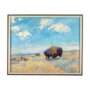 14938 - Buffalo by Mercana Studio a Hand Embellished Textured Framed Art Photograph