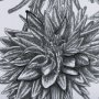 14939 - Dahlia Study - Detail by Mercana Studio Hand Embellished Textured Framed Art Photo Matted under Glas