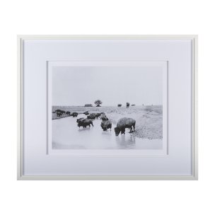Buffalo Brook by Mercana Studio a Hand Embellished Textured Framed Art Photograph Matted under Glass