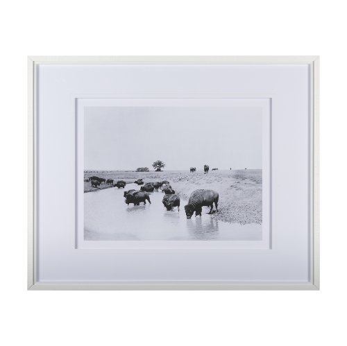 14940 - Buffalo Brook by Mercana Studio a Hand Embellished Textured Framed Art Photograph Matted under Glass