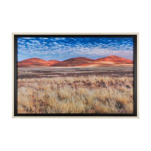 Bold Adventure by Mercana Studio a Hand Embellished Textured Framed Art Photo Matted under Glass