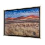 14943 - Bold Adventure by Mercana Studio a Hand Embellished Textured Framed Art Photo Matted under Glass