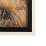 14943 - Bold Adventure by Mercana Studio a Hand Embellished Textured Framed Art Photo Matted under Glass