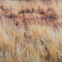 14943 - Bold Adventure by Mercana Studio a Hand Embellished Textured Framed Art Photo Matted under Glass