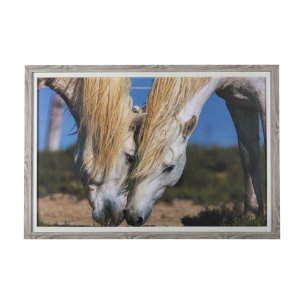 Nuzzled Together by Mercana Studio a Hand Embellished Textured Framed Art Photo Matted under Glass