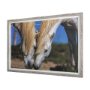 14946 - Nuzzled Together by Mercana Studio a Hand Embellished Textured Framed Art Photo Matted under Glass