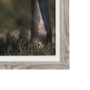 14946 - Nuzzled Together by Mercana Studio a Hand Embellished Textured Framed Art Photo Matted under Glass