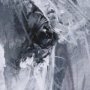 14981 - White Horse Portrait by Mercana Studio Hand Embellished Textured Framed Art Print Matted under Glass