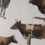 10408 - Antique Cow Chart by Mercana Studio a Framed Art Print Matted under Glass
