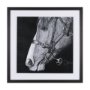 14972 - Equestrian Portrait by Mercana Studio Hand Embellished Textured Framed Photo Art Print Matted under 