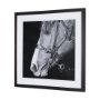 14972 - Equestrian Portrait by Mercana Studio Hand Embellished Textured Framed Photo Art Print Matted under 
