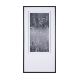 Summer Light I  by Mercana Studio a Hand Embellished Textured Framed Photo Art Print Matted under Gl