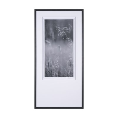 15001 - Summer Light I  by Mercana Studio a Hand Embellished Textured Framed Photo Art Print Matted under Gl