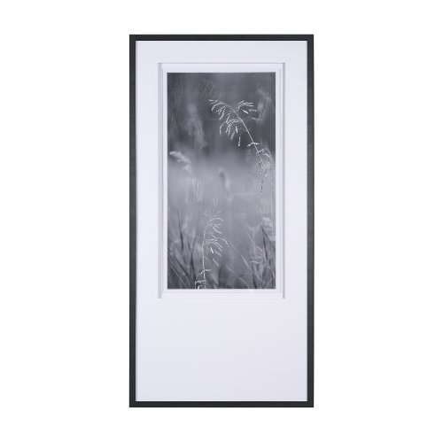 15001 - Summer Light I  by Mercana Studio a Hand Embellished Textured Framed Photo Art Print Matted under Gl