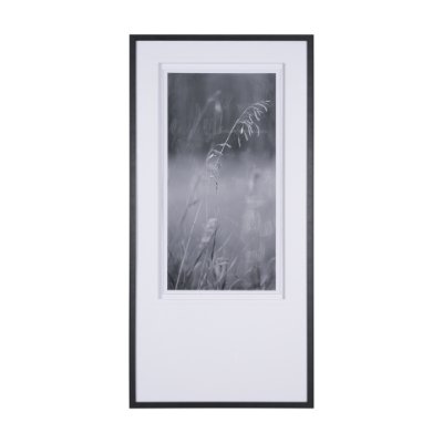 15002 - Summer Light II by Mercana Studio a Hand Embellished Textured Framed Photo Art Print Matted under Gl
