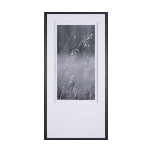 15002 - Summer Light II by Mercana Studio a Hand Embellished Textured Framed Photo Art Print Matted under Gl