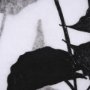 102588-FL - Floral Silhouette III by Mercana Studio a Hand Embellished Textured Framed Canvas