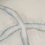15008 - Fragment I by Studio M a handmade Original Framed Artwork under Glass