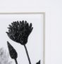 15012 - Floral Silhouette III by Mercana Studio Hand Embellished Textured Framed Art Print Matted under Glas