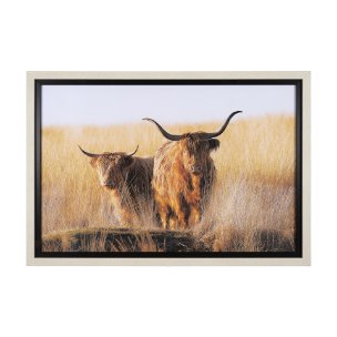 Young and Old Highlander by Mercana Studio Hand Embellished Framed Photo Art Print Matted under Glas