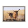 15017 - Young and Old Highlander by Mercana Studio Hand Embellished Framed Photo Art Print Matted under Glas