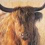 15017 - Young and Old Highlander by Mercana Studio Hand Embellished Framed Photo Art Print Matted under Glas