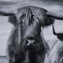 15018 - Highlands by Mercana Studio a Hand Embellished Textured Framed Photo Art Print Matted under Glass