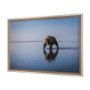 15019 - Walking my Walk by Mercana Studio a Hand Embellished Textured Framed Photo Art Print Matted under Gl