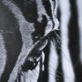15020 - The look of Nature by Mercana Studio a Hand Embellished Textured Framed Photo Art Print Matted under