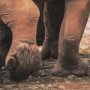 15022 - Walking Away by Mercana Studio a Hand Embellished Textured Framed Photo Art Print Matted under Glass