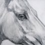 15025 - Running Horses (set of 3) by Mercana Studio a Hand Embellished Textured Framed Art Print