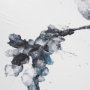 15041 - Pear Blossom II by Studio M a Framed handmade Original Artwork