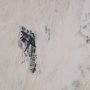 102593-FL - Clay II by Mercana Studio a Hand Embellished Textured Framed Canvas