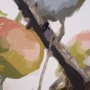 102596-FL - Birds & Apples I by Mercana Studio a Hand Embellished Textured Framed Canvas