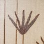 15076 - Spark I (Tan) by Mercana Studio a Hand Embellished Textured Framed Art Print