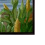 15115 - Illinois Go USA (SM) by Mercana Studio a Hand Embellished Decograph Framed Art Print