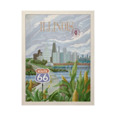 15116 - Illinois Go USA (L) by Mercana Studio a Hand Embellished Decograph Framed Art Print