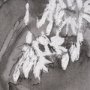 15125 -  Wildflowers I Charcoal by Mercana Studio a Hand Embellished Textured Framed Art Print